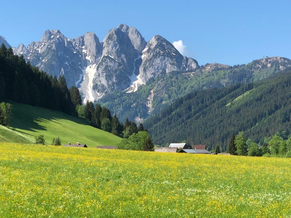 Ferienwohnung Kogelblick Gosau Exterior foto
